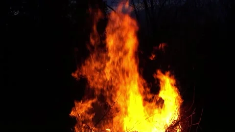 Traditional Easter fire in austria in front of a forest in the evening Video stock 171390500