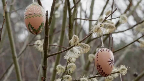 Traditional Easter Wax-Painted Eggs Gently Swaying in the Wind on a Willow Tree Stock Footage 305385428