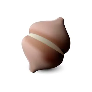 Traditional easter yeast cake Stockillustratie