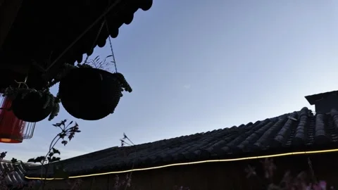 Traditional Eaves with Hanging Planters and Lantern at Dusk Stock Footage 340129515