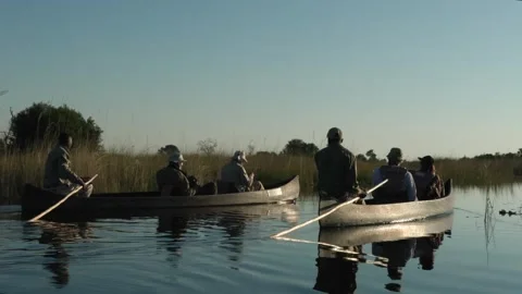 Traditional evening canoe ride through the Okavango Delta. Stock Footage 314234092