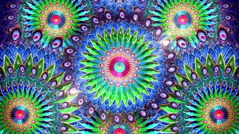 Traditional Feathers Mandala Video stock 342265484