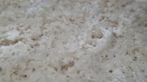 Traditional Fermentation Process of Sticky Rice Sprinkled with Yeast Powder.. Stock Footage 335127664
