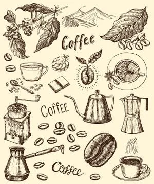 Traditional Filter Coffee Maker. Modern vintage elements, percolator, plants Illustrazione stock