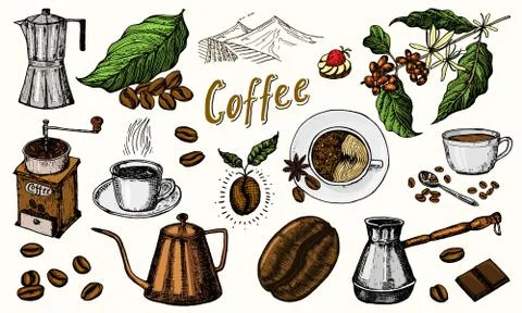 Traditional Filter Coffee Maker. Modern vintage elements, percolator, plants Stock Illustration