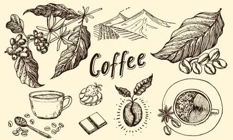 Traditional Filter Coffee Maker. Modern vintage elements, percolator, plants Stock Illustration