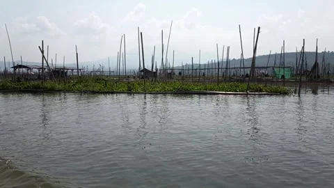 Traditional Floating Fish Farm on Sumurup Lake Indonesia by Boat Stock-Footage 340242549