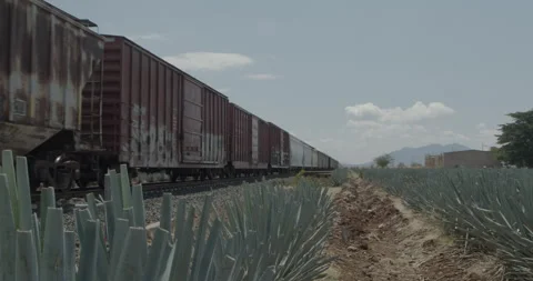 Traditional Folklore Stock Footage 245761553