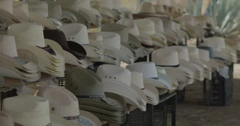 Traditional Folklore Video stock 246768188