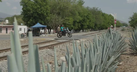 Traditional Folklore Stock Footage 246768984