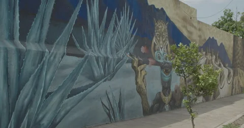 Traditional Folklore Stock Footage 246769265