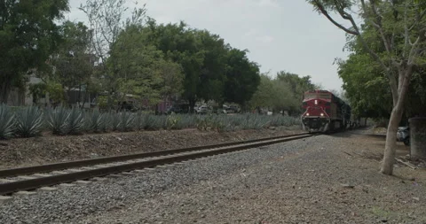 Traditional Folklore Stock Footage 246769454