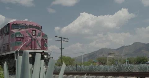 Traditional Folklore Stock Footage 246772492