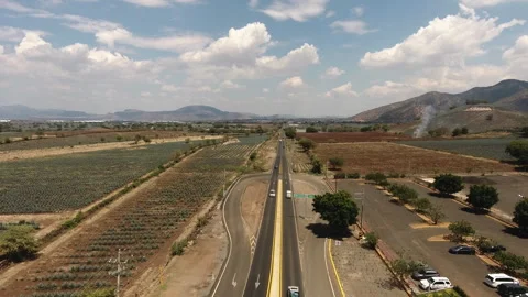 Traditional Folklore Stock Footage 246774155