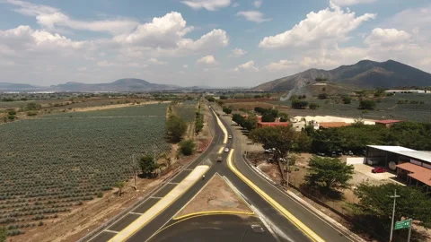 Traditional Folklore Stock Footage 246774157