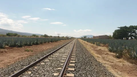 Traditional Folklore Stock Footage 246774160