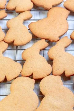 Traditional ginger cookies for Easter. Stock Photos