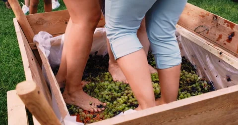 Traditional grapes crushing Stock Footage 240176694