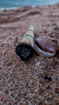 Traditional hand-rolled cigarette butt and sea shell on beach sand Stock Photos