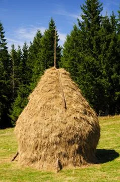 Traditional hay stack in romania Stock Photos