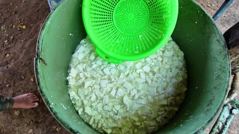Traditional Homemade Cheese Making: Draining Curds from Whey Video stock 320455815