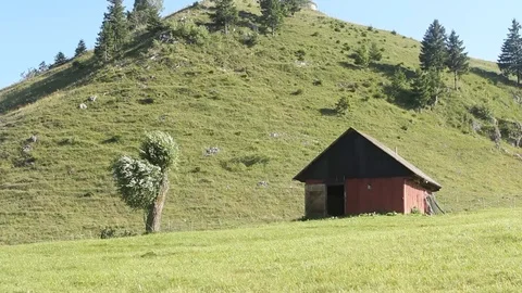 Traditional House Stock Footage 113965671