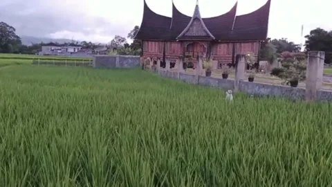 Traditional house Stock Footage 236969311