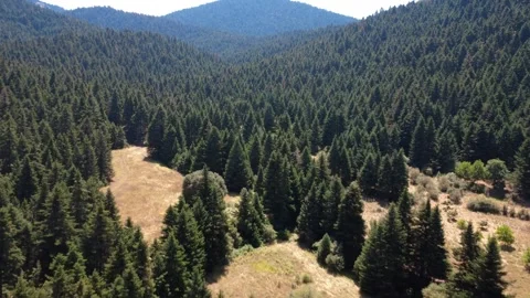 Traditional hut on mountain plain below fir forest and distant mountain summit Stock Footage 326353906