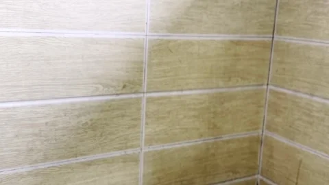 Traditional Indian Bathroom Stock Footage 334366815