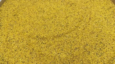 Traditional Indian mango pickle masala texture rotating in close up Stock Footage 337038334
