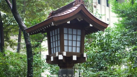 Traditional Japanese Lantern in Forest Stock Footage 104339902