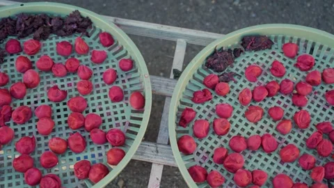 Traditional Japanese umeboshi making process outdoors Stock Footage 340817402