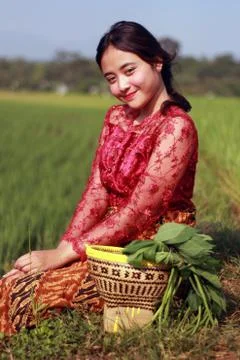 Traditional Java Farmer Stock Photos
