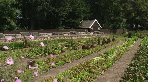 Traditional kitchen garden: salad beds, propagator, pan kale and cabbage Stock Footage