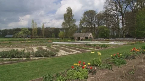 Traditional kitchen garden in spring - pan flower beds Stock Footage 40478895