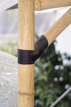 Traditional knotting technique using black rope to connect bamboo framework Stock Photos