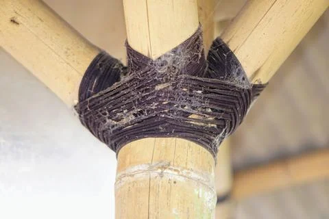Traditional knotting technique using black rope to connect bamboo framework Stock Photos
