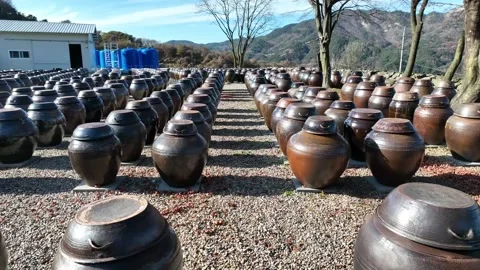 Traditional Korean earthenware jars arranged in rows for sauce fermentation Stock Footage 314629481