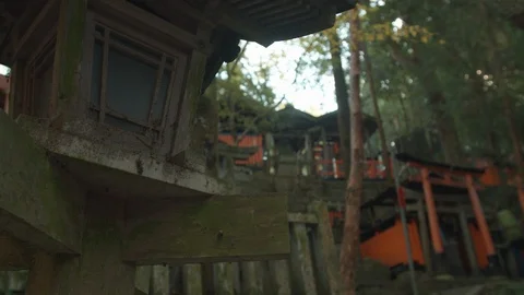 Traditional light and gates at inari fushimi shrine Kyoto Japan Stock-Footage 123750416