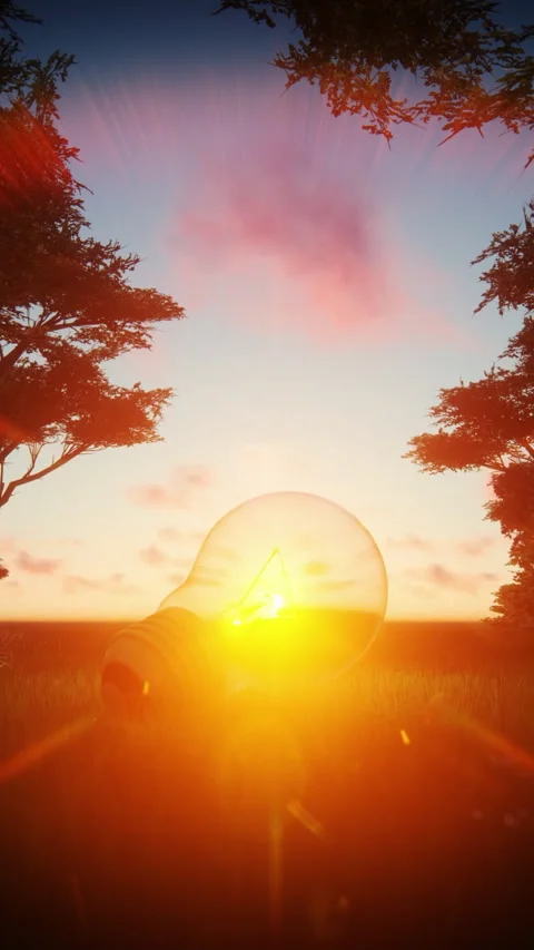 Traditional Light Bulb illuminating a forest against beautiful sunrise, vert Stock Footage 340454775