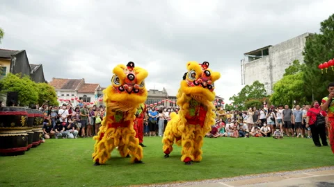 Traditional lion dance performing in front of crowd during Chinese New Year Stock Footage 234400655