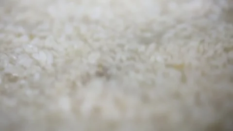 Traditional Liquor Making Process Stock-Footage 306040515