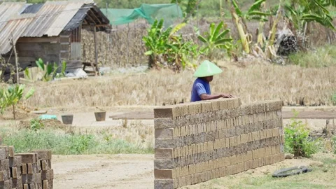 Traditional Manual Brick Making Stock Footage 345618815