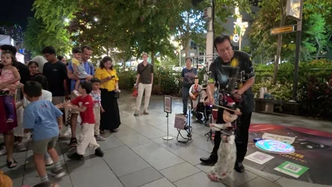 Traditional marionette puppet performance along Orchard Road in Singapore Stock Footage 341074385