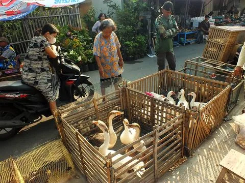 Traditional market at Sukoharjo, Central Java, Indonesia Stock Photos
