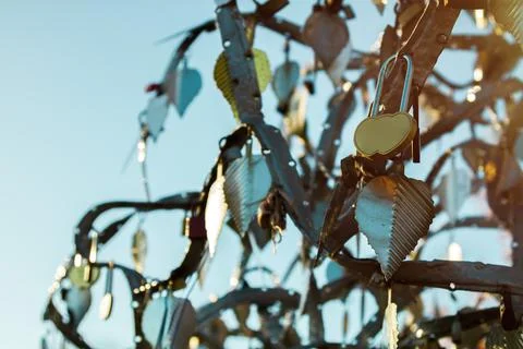 Traditional metal wedding tree with sharp leaves and locks outdoors. Stock Photos