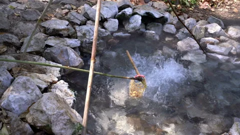 Traditional method of boiling eggs in  National Park Hot Spring. Stock Footage 134257769