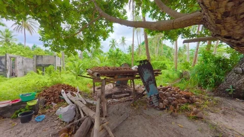 Traditional Method of Drying Coconuts on Rack Vidéo 336177625