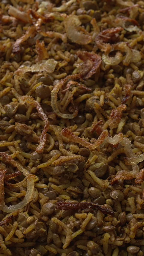 Traditional Middle Eastern Mujaddara dish background texture. Vertical video. Stock Footage 312610529