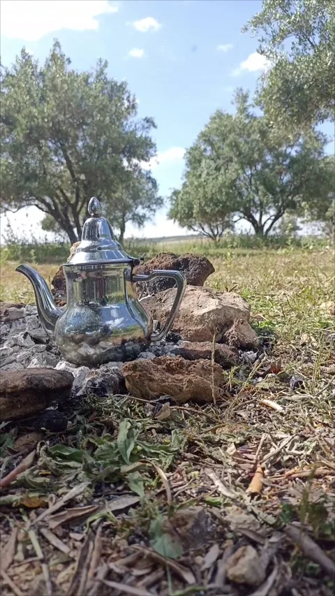 Traditional Moroccan Mint Tea Pot over a Charcoal Fire Stock Footage 334580685